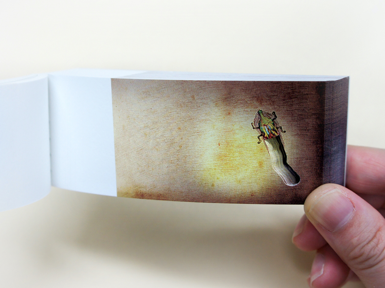 PARA-PARA flipbook GOD OF BUG EATER