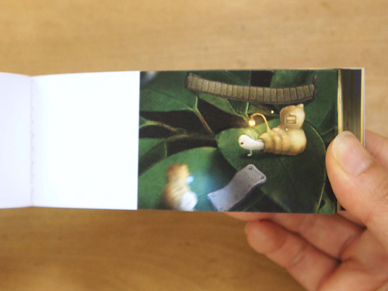 PARA-PARA flipbook storobofly