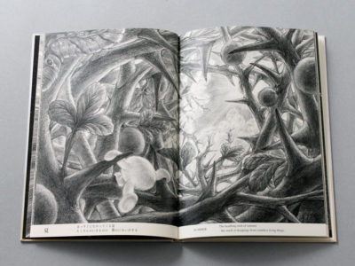 4-916094-52-2_003-1-1-1-