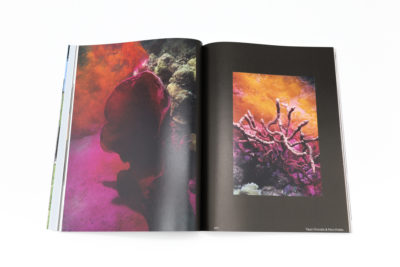 IMA（イマ） Vol.45 Spring/Summer 2026｜青幻舎 SEIGENSHA Art