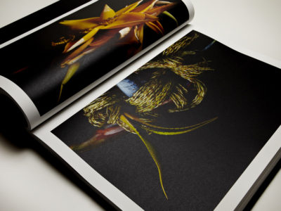 2009ー2011 Flowers 限定50部（エディション付）｜青幻舎 SEIGENSHA