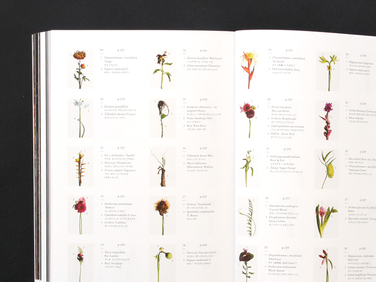 Encyclopedia of Flowers 植物図鑑｜青幻舎 SEIGENSHA Art Publishing 