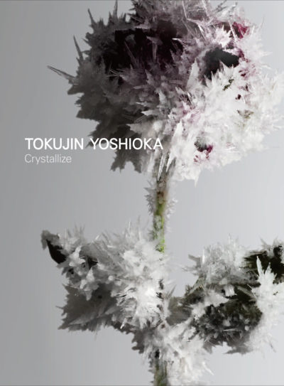 クリスタライズ　TOKUJIN YOSHIOKA Crystallize