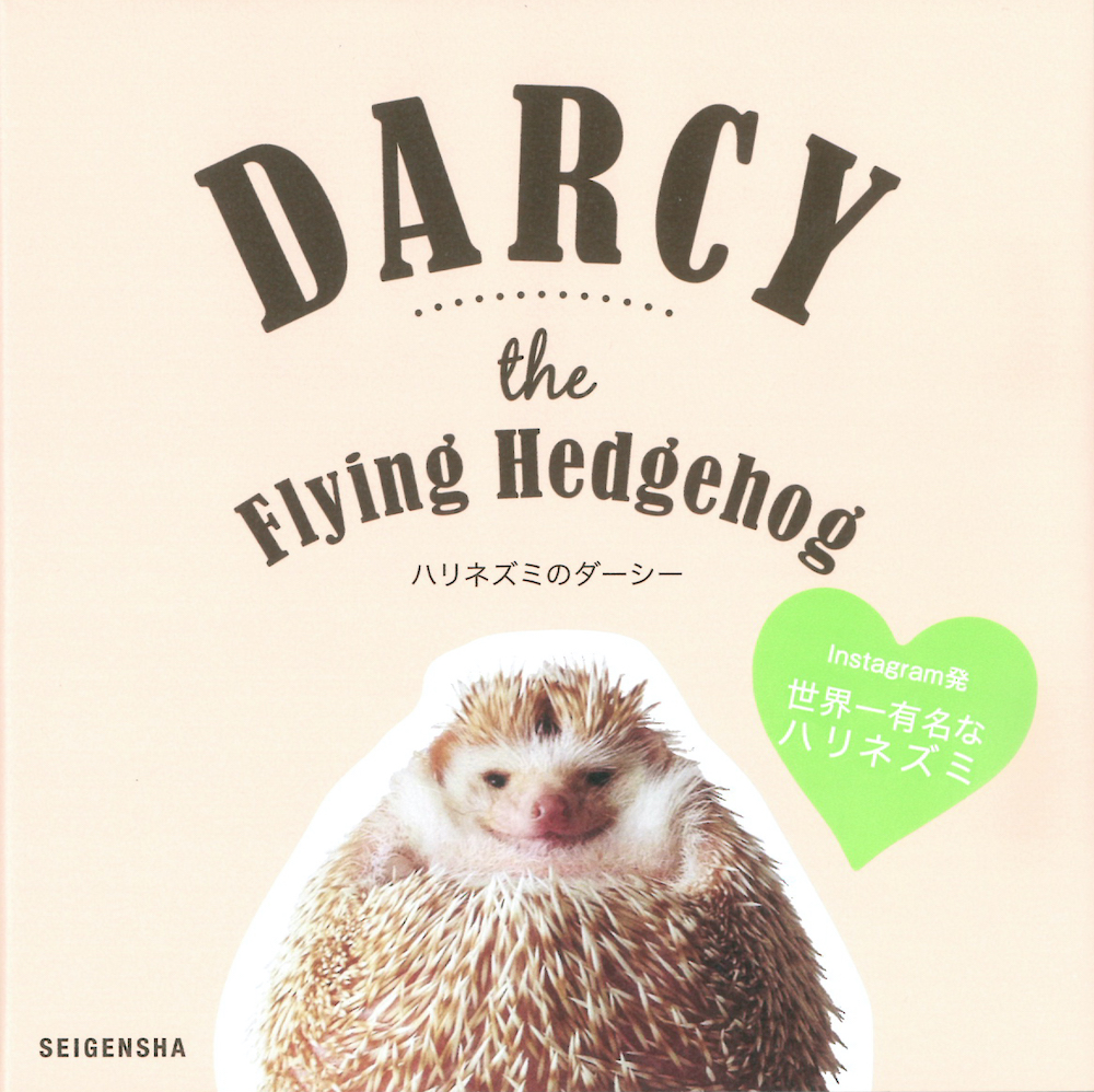 ハリネズミのダーシー 初回版 特製ステッカー 付き Darcy The Flying Hedgehog First Edition With A Sticker 青幻舎 Seigensha Art Publishing Inc