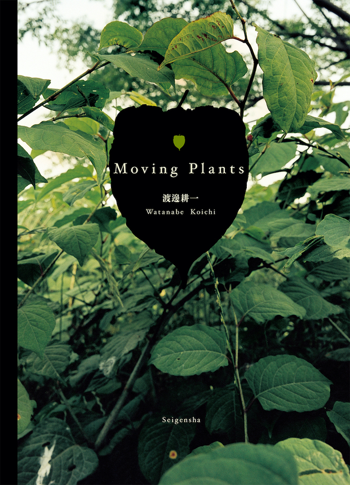 Moving Plants