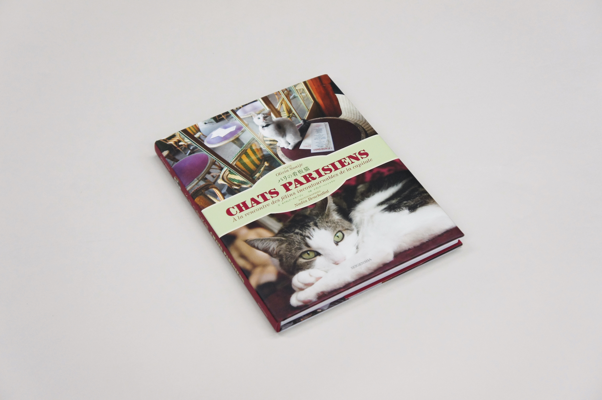 パリの看板猫｜青幻舎 SEIGENSHA Art Publishing, Inc.