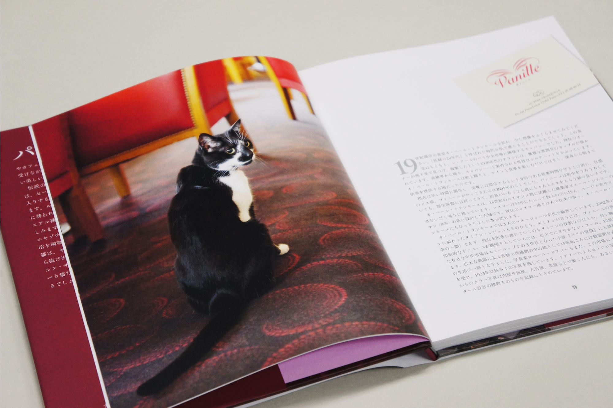 パリの看板猫｜青幻舎 SEIGENSHA Art Publishing, Inc.