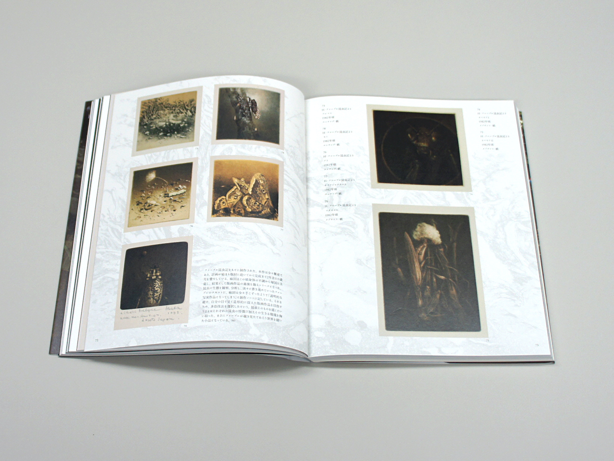 古書 洋書 Degenerate Art ナチズムの政策、頽廃芸術の回顧展図録 - 本