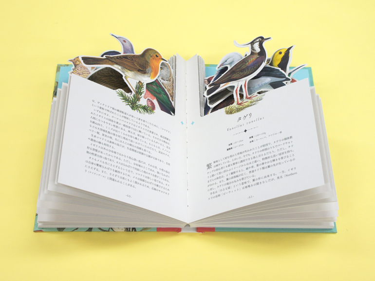 My Picture Book 世界の鳥｜青幻舎 SEIGENSHA Art Publishing, Inc.
