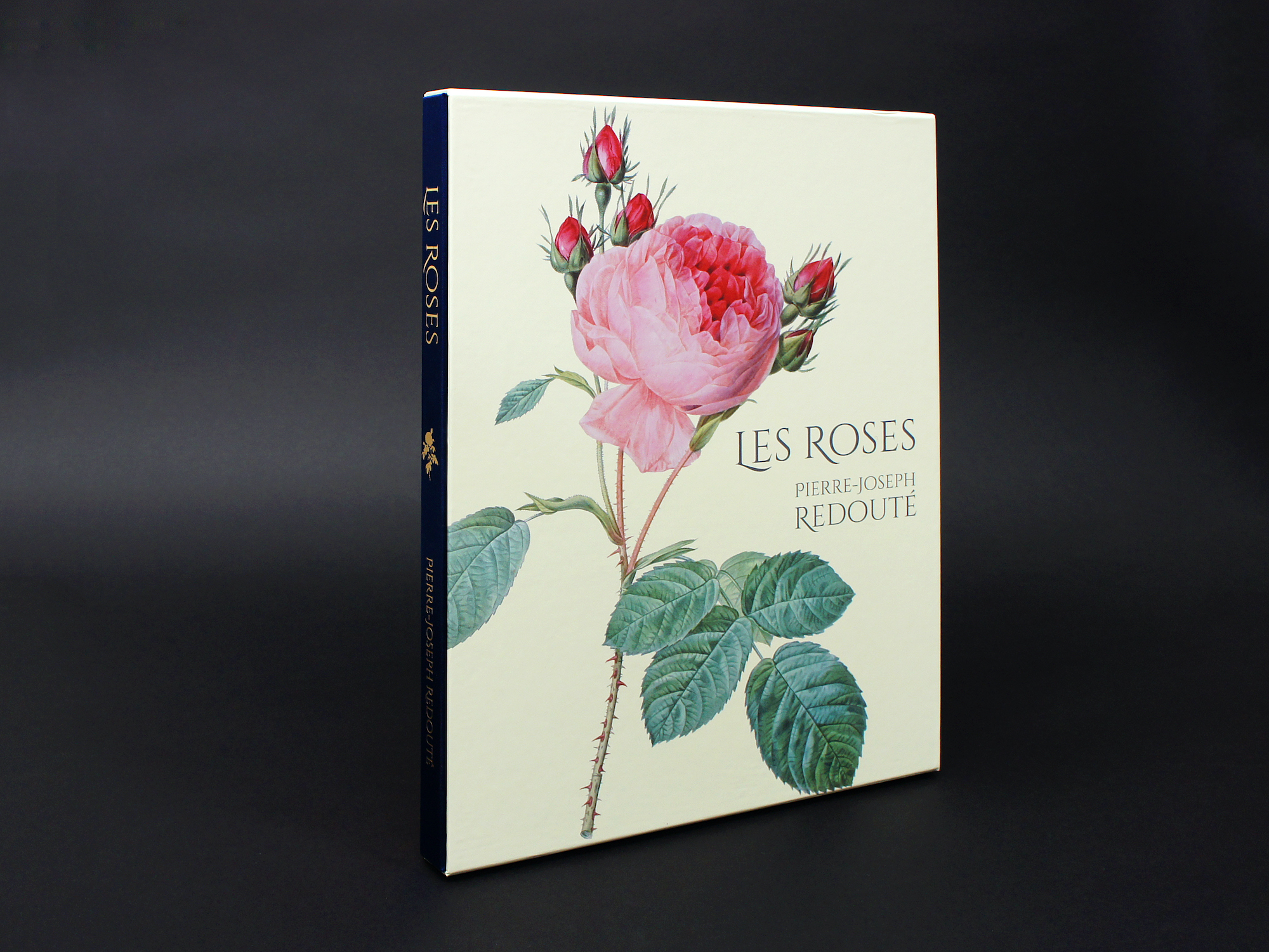 Les Roses バラ図譜｜青幻舎 SEIGENSHA Art Publishing, Inc.