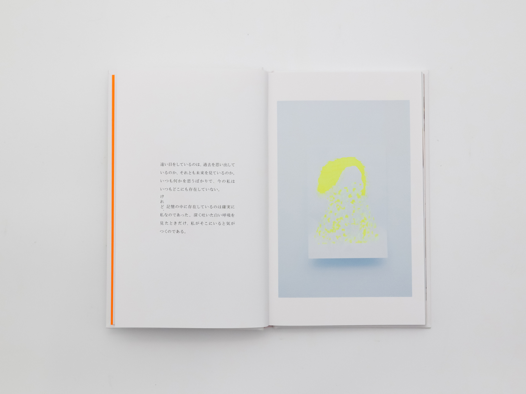 太田莉菜の不在｜青幻舎 SEIGENSHA Art Publishing, Inc.