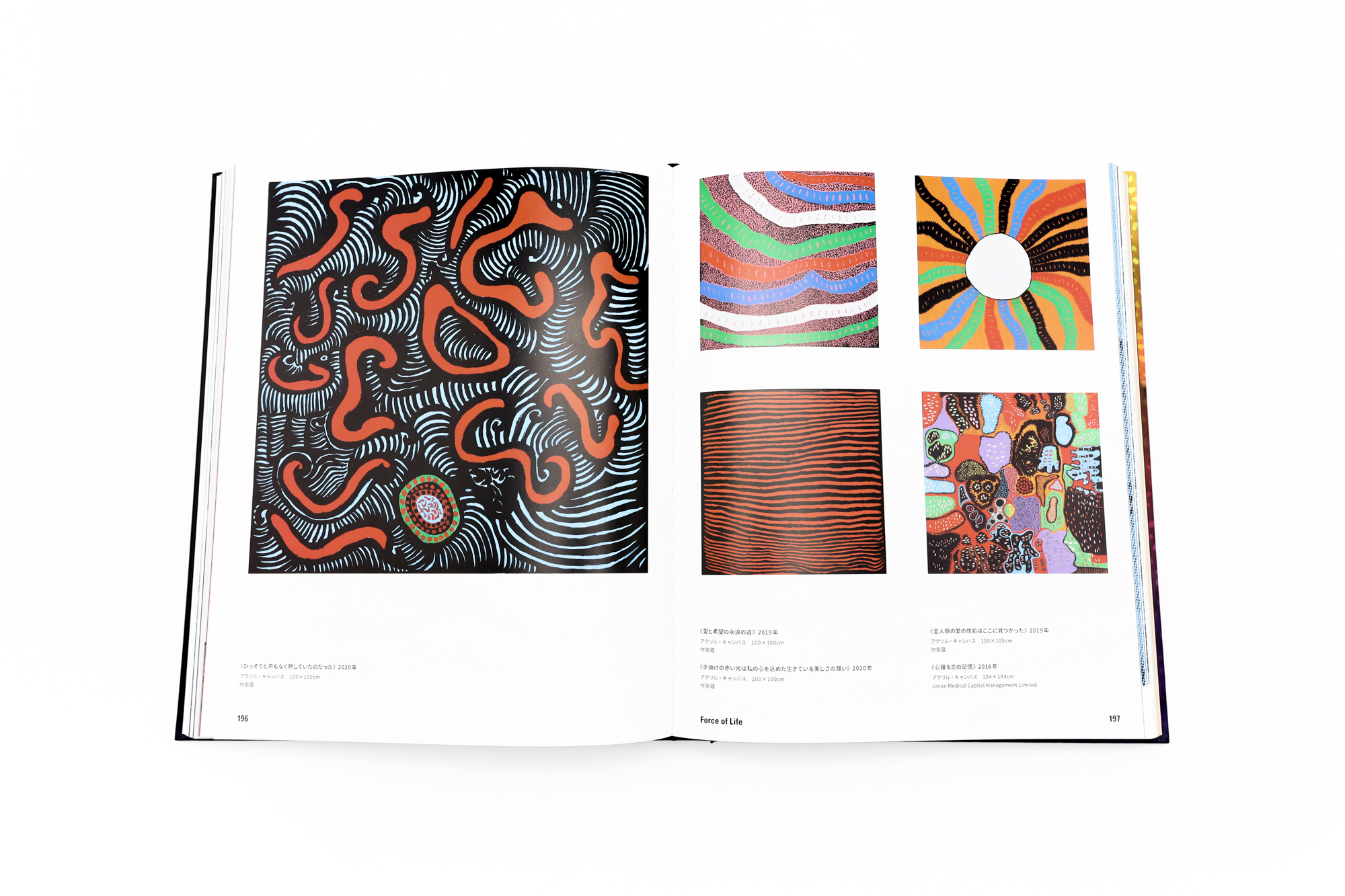 草間彌生 1945年から現在｜青幻舎 SEIGENSHA Art Publishing, Inc.