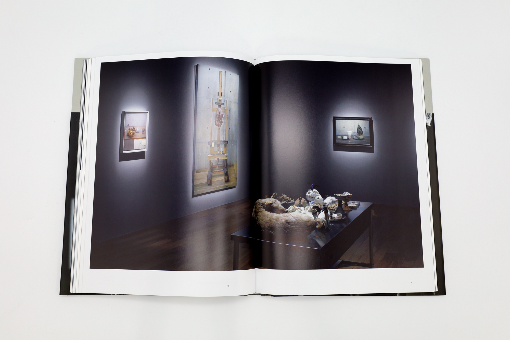 諏訪敦 きみはうつくしい｜青幻舎 SEIGENSHA Art Publishing, Inc.