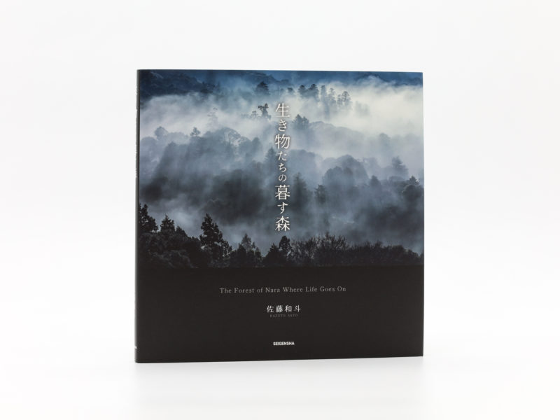 生き物たちの暮す森｜青幻舎 SEIGENSHA Art Publishing, Inc.