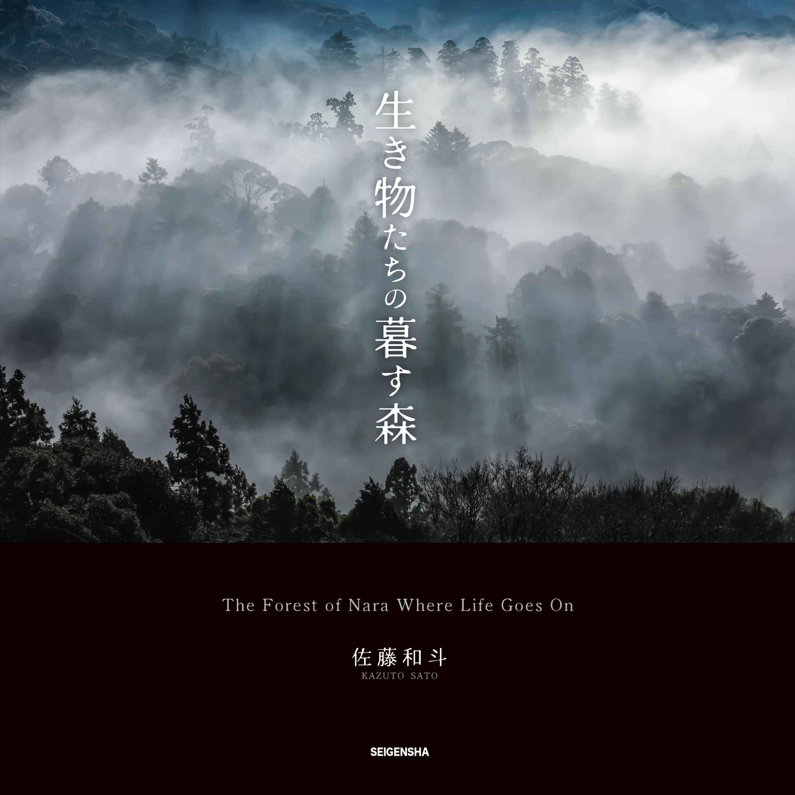 生き物たちの暮す森