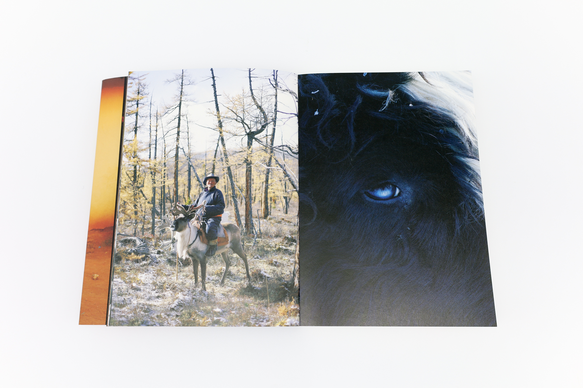 竹沢うるま写真集 BOUNDARY | 中心｜青幻舎 SEIGENSHA Art Publishing