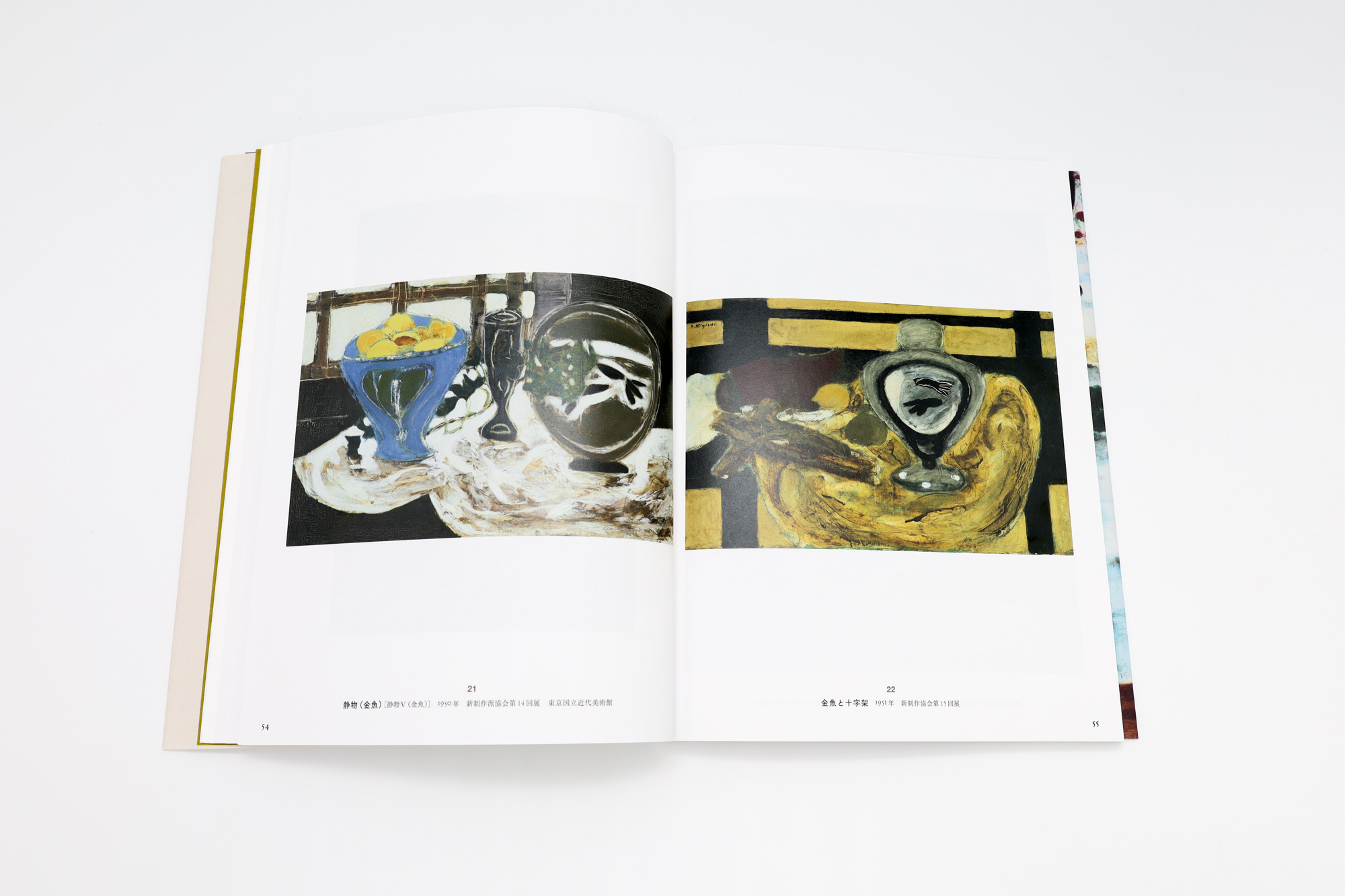 三岸節子｜青幻舎 SEIGENSHA Art Publishing, Inc.