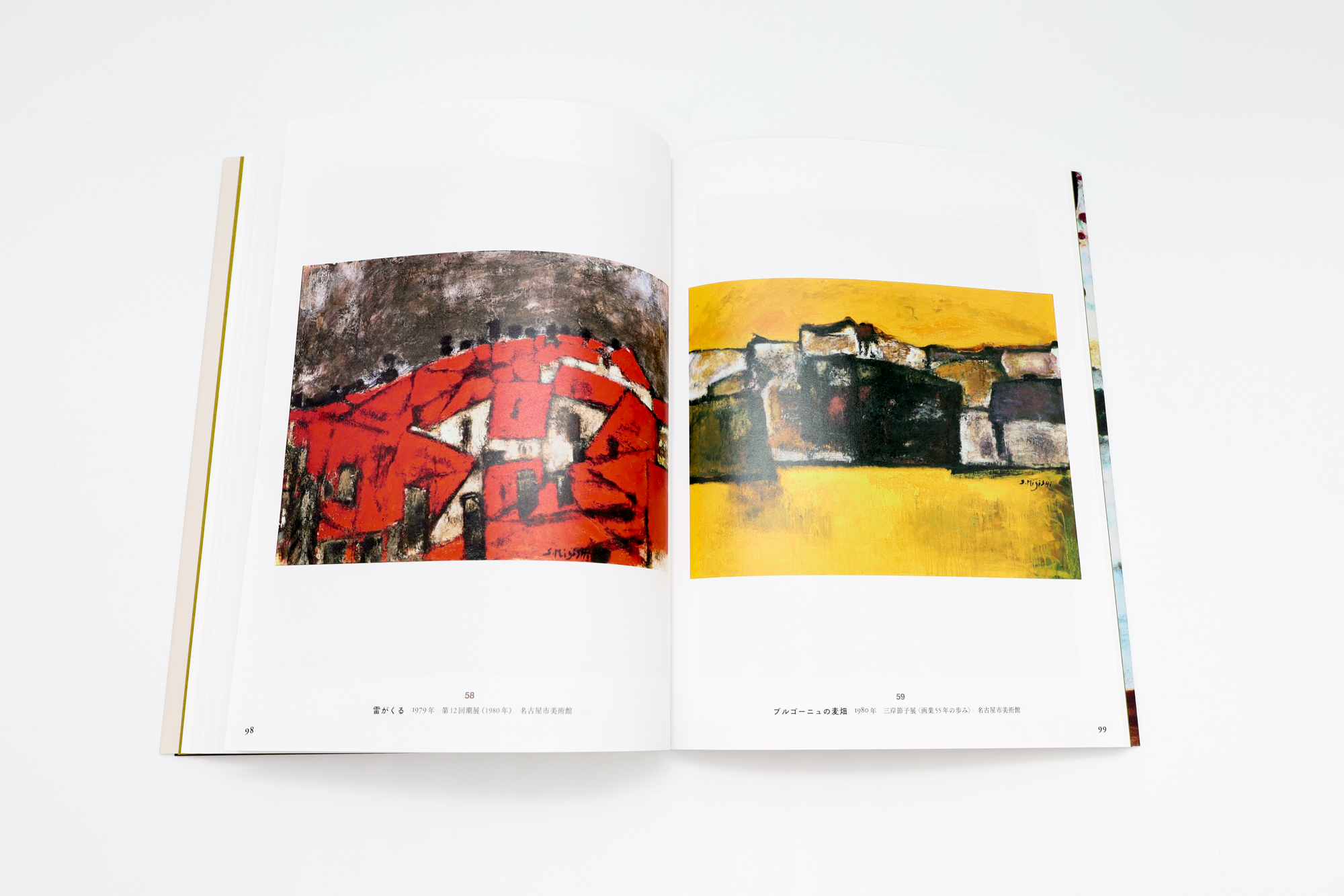 三岸節子｜青幻舎 SEIGENSHA Art Publishing, Inc.
