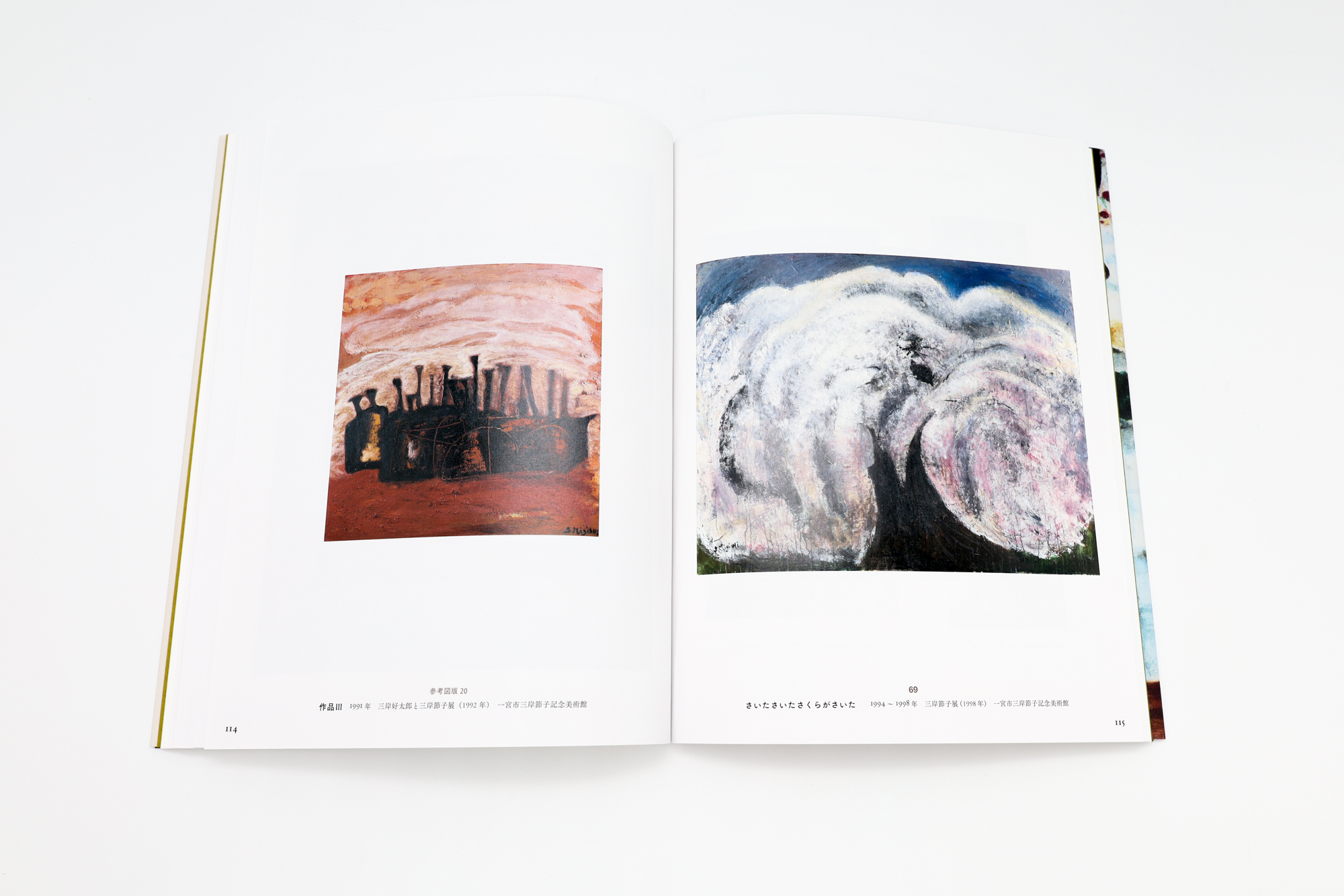 三岸節子｜青幻舎 SEIGENSHA Art Publishing, Inc.