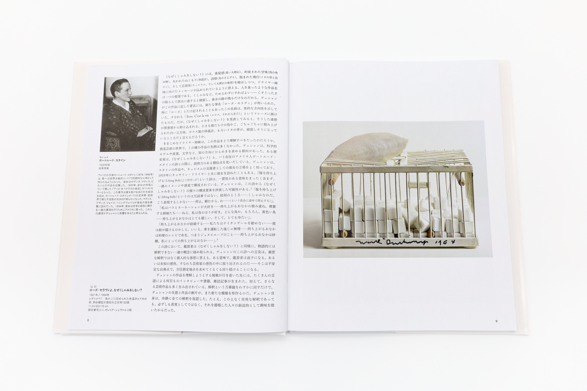 SEIGENSHA | TASCHEN Basic Art Series デュシャン MARCEL DUCHAMP｜青