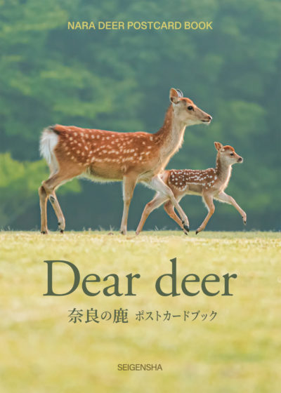 Dear deer 奈良の鹿 ポストカードブック