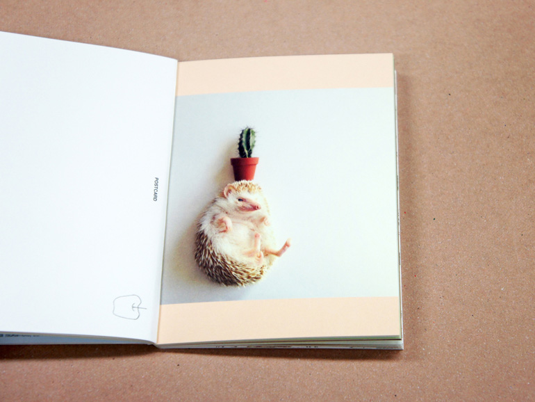 はりねずみページ はりねずみのピックル | 山崎 陽子, ようこ, いもと |本 | 通販 | Amazon