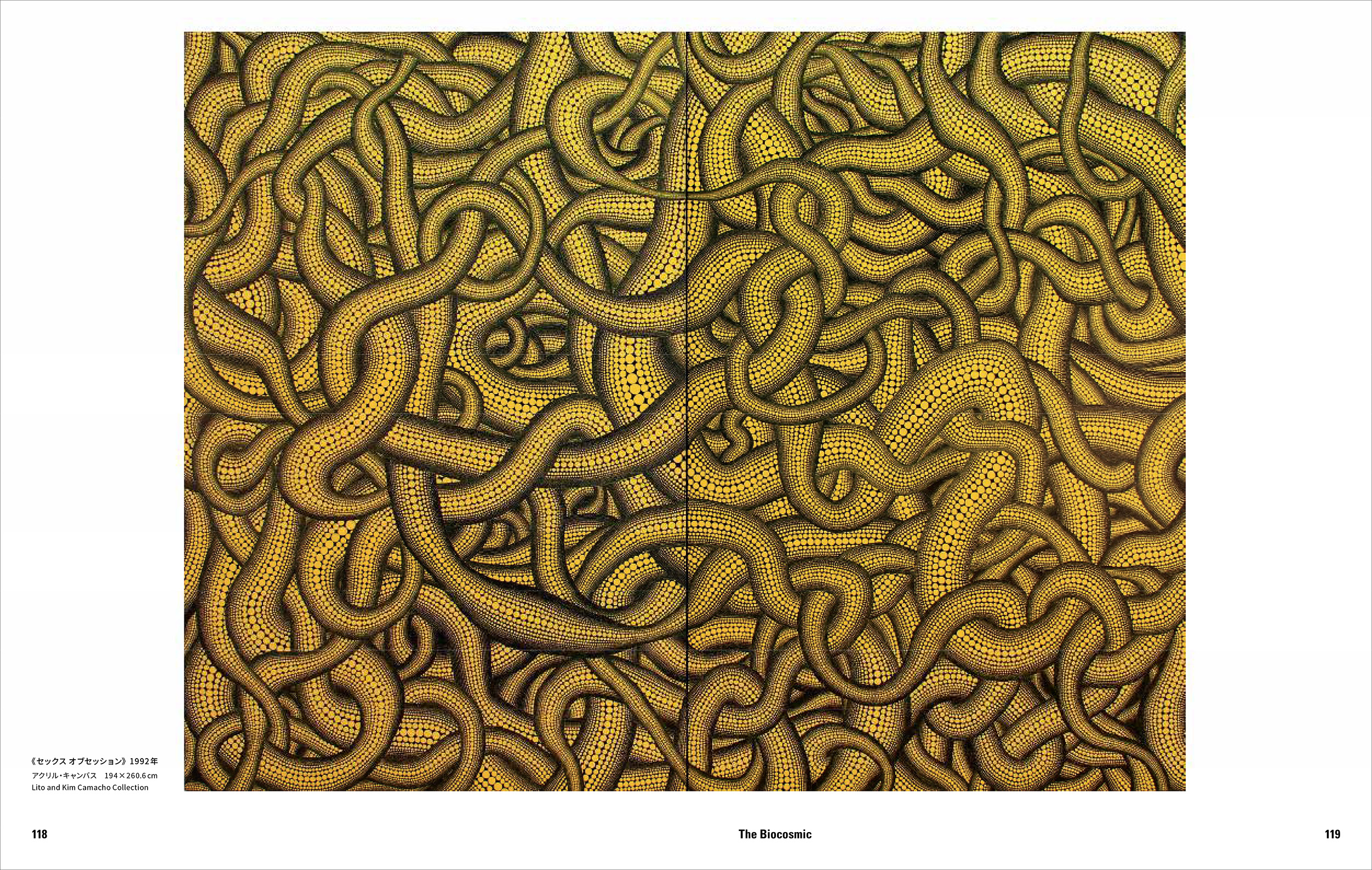 草間彌生 1945年から現在｜青幻舎 SEIGENSHA Art Publishing, Inc.